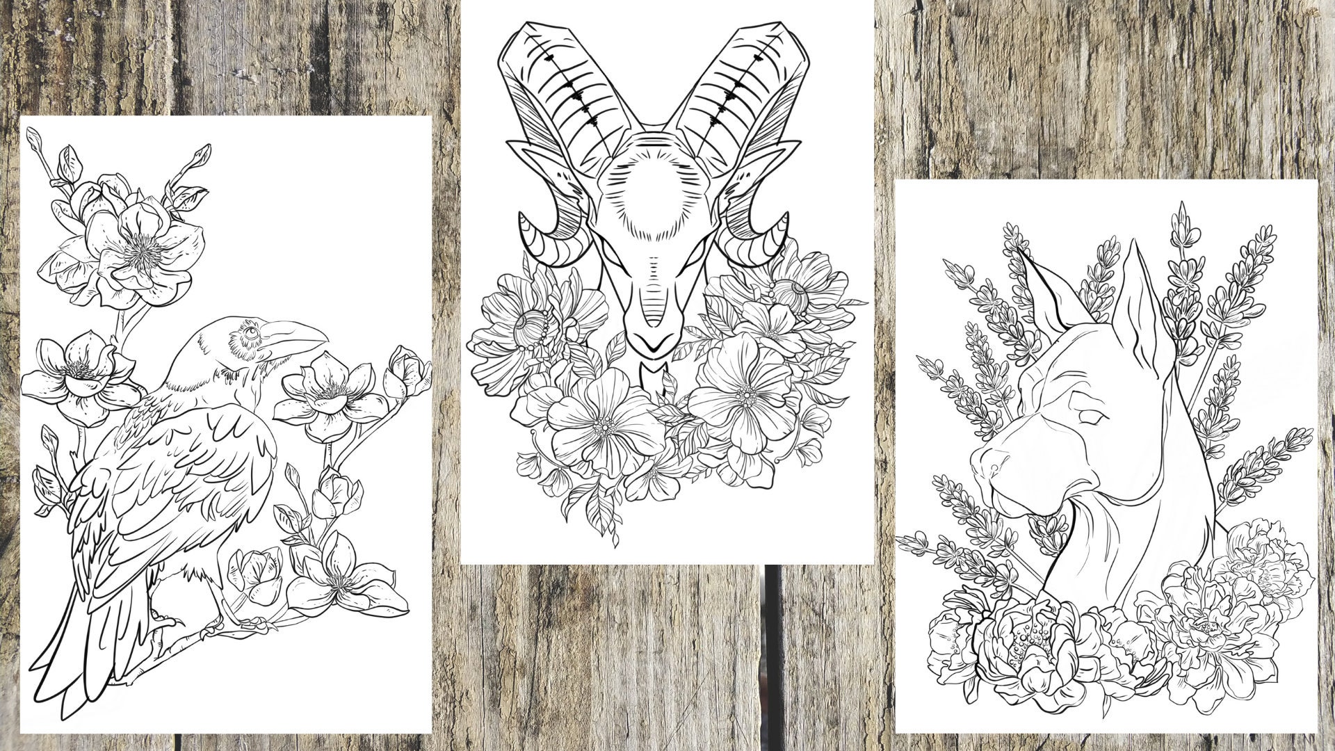Floral Animal Digital/printable Coloring Pages DIGITAL Etsy UK