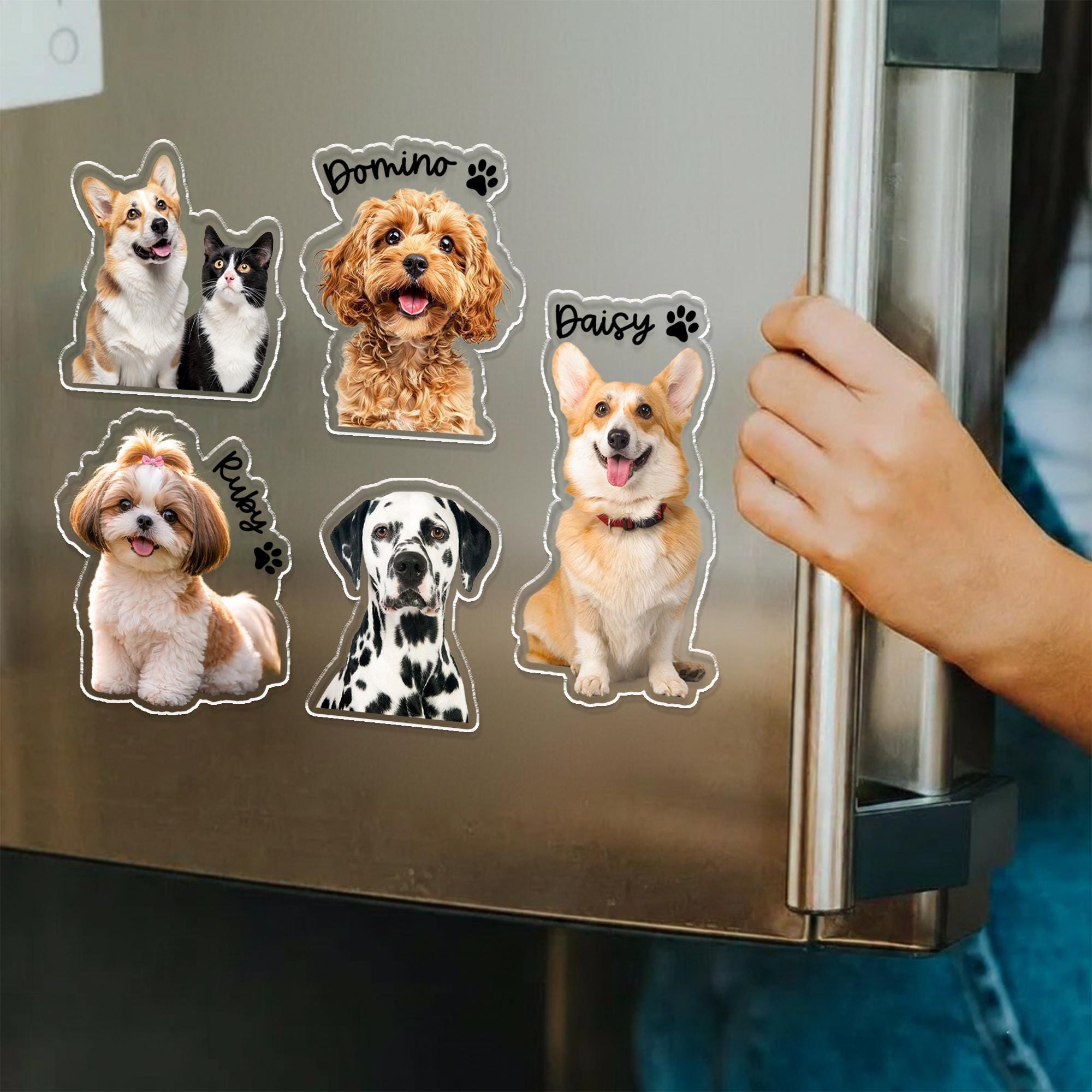 Custom Pet Photo Magnet, Cat Dog Portrait Magnet, Personalized Gift for ...