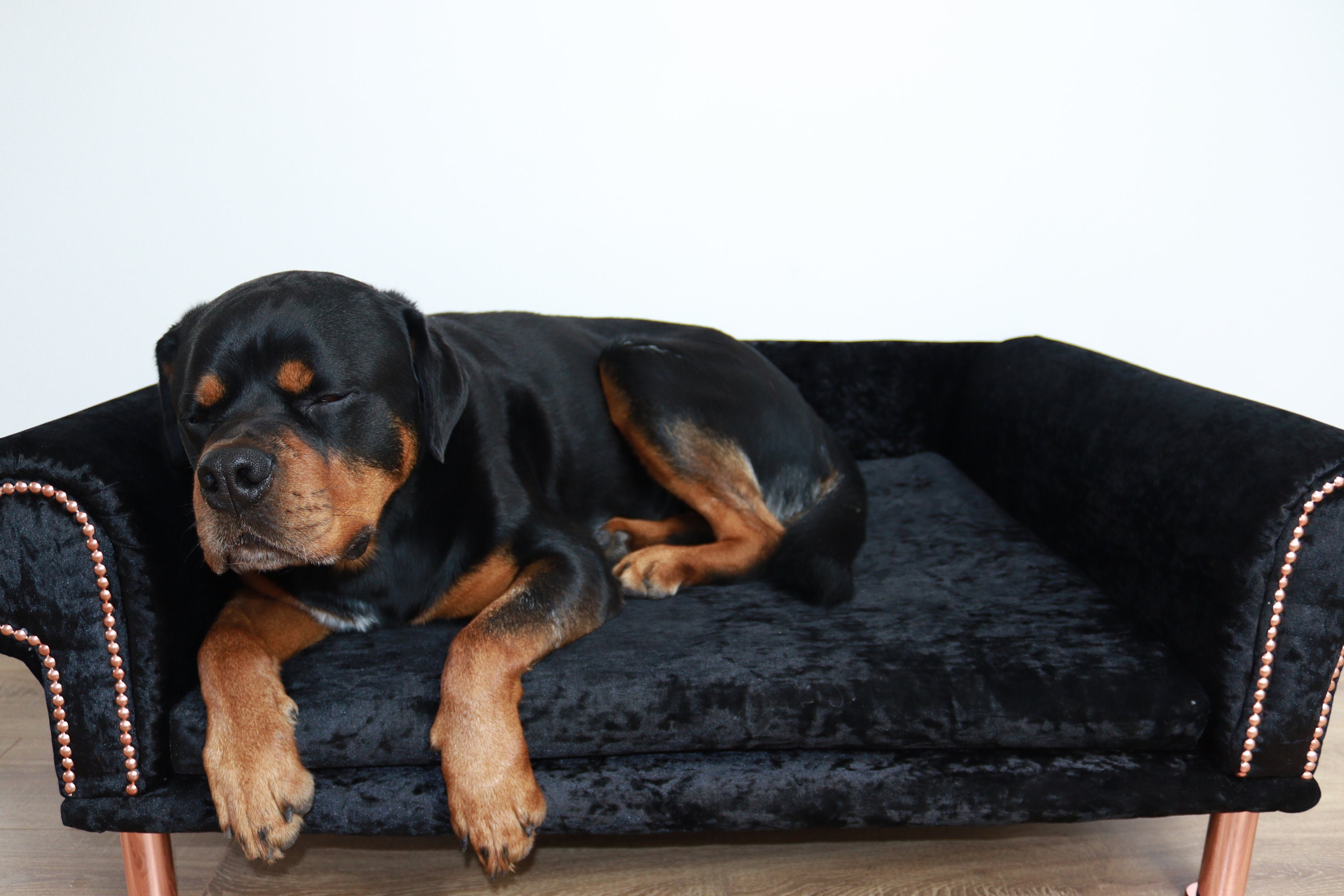 Crushed velvet dog sofa bed online