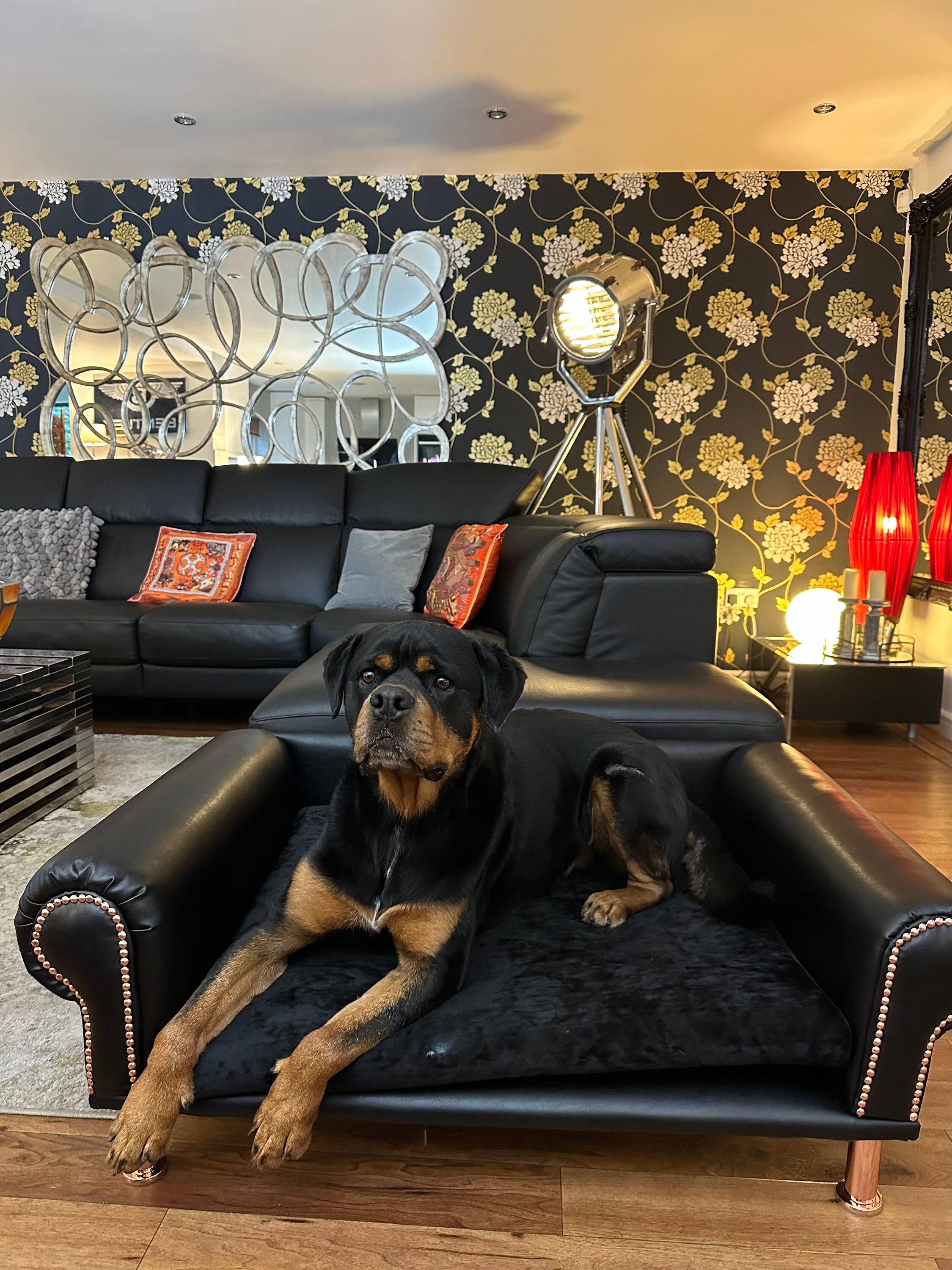 Large Bespoke Luxury Faux Leather Dog Sofa Bed With Washable Crushed Velvet Seat. Dog Bed Sofa Lounger Pet Furniture Etsy UK