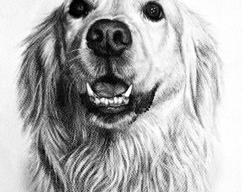 Handgezeichnetes Kohle Tier Portrait: Benutzerdefinierte Hunde & Katzen Kunst