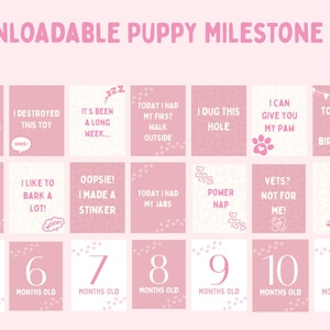 26 cartes jalons numériques pour chiots - téléchargeables