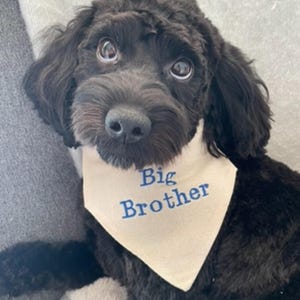 Hond verjaardag bandana set, hond verjaardag meisje Hond verjaardag bandana set, hond verjaardag meisje