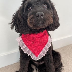 Red Rose Dog Bandana with Ribbon Edge – Girl Floral Pet Scarf for Dogs | Cute Valentine’s or Spring Dog Accessory