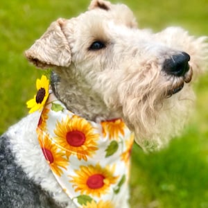 Sunflower Dog Bandana – Summer Floral Pet Scarf | Over-the-Collar Slip-On Bandana