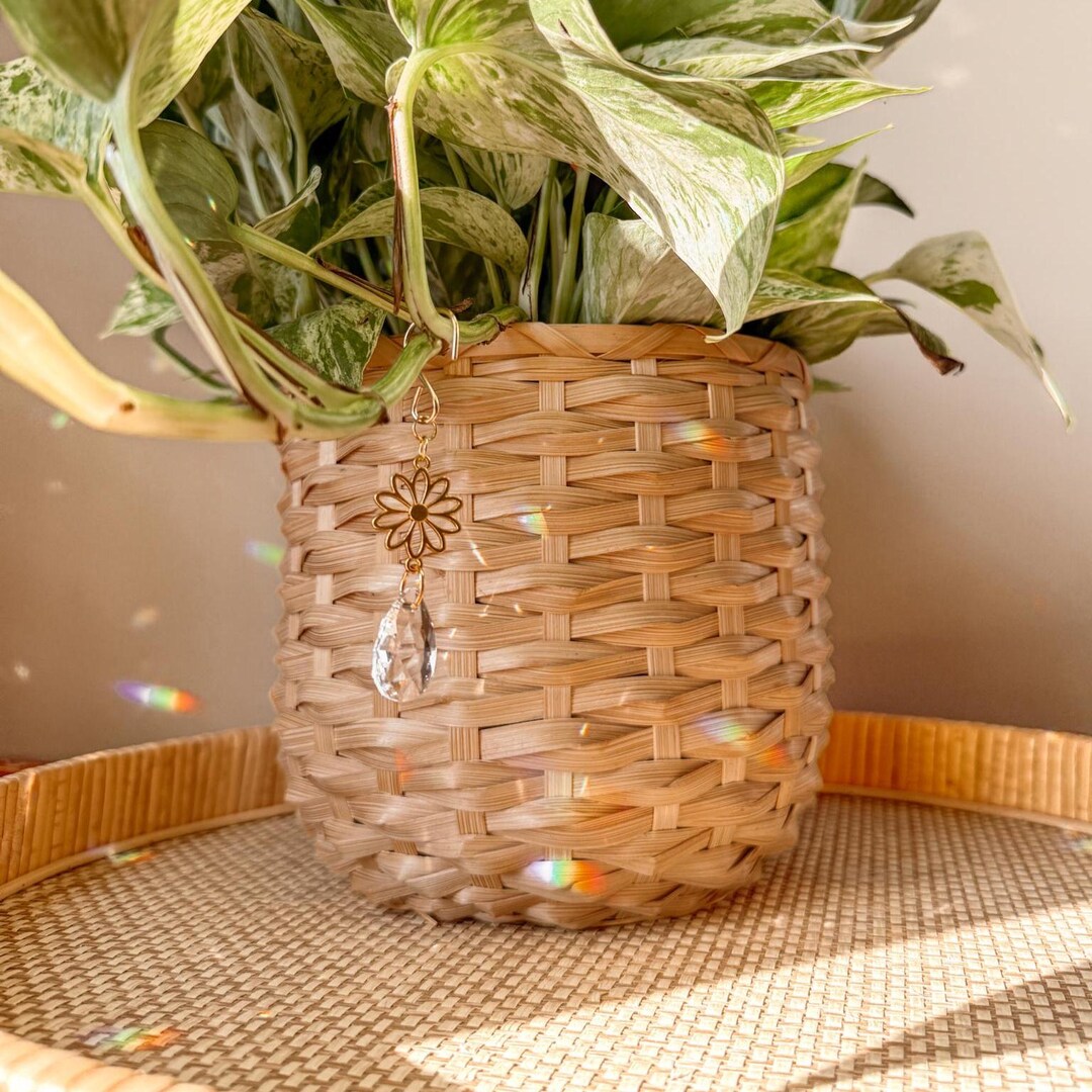 Plant Vine Charms | Hanging Daisy Flower Suncatcher | Sunlight