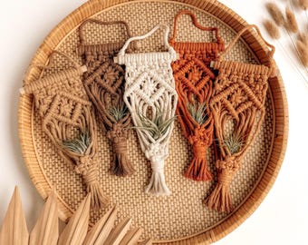 Air Plant Holder | Tillandsia Accessories | Macrame Wall Hanging