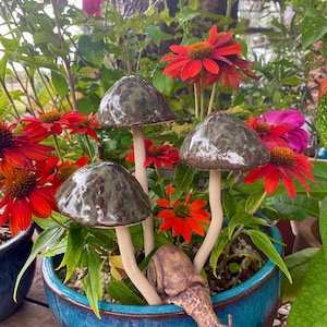 Ceramic mushrooms for the garden, toadstools, pottery mushrooms, garden gift, handmade pottery, handmade garden gift, wobbly toadstools