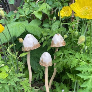 Ceramic toadstools for the garden, ceramic mushrooms, garden bells, pottery mushrooms, pottery toadstools, garden mushrooms, handmade gift image 4