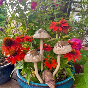 Ceramic mushrooms for the garden, toadstools, pottery mushrooms, garden gift, handmade pottery, handmade garden gift, wobbly toadstools