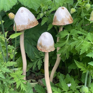 Ceramic toadstools for the garden, ceramic mushrooms, garden bells, pottery mushrooms, pottery toadstools, garden mushrooms, handmade gift image 1