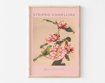 Japanese Vintage Camellias Wall Art Digital Print, Ogawa Kazumasa Flower Photography Poster, Retro Floral Wall Art, Botanical Print Download