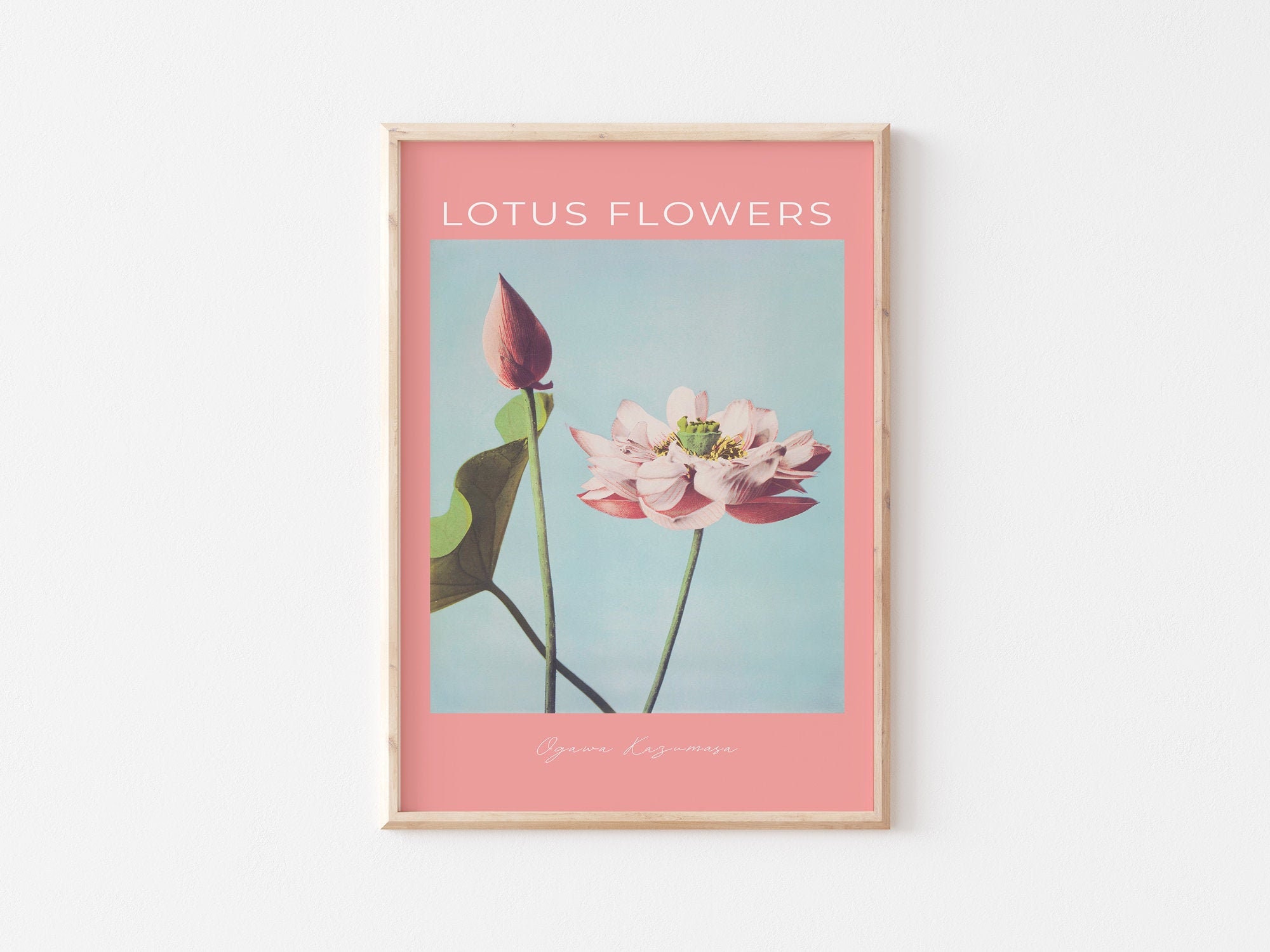 Japanese Vintage Lotus Flower Wall Art Digital Print, Ogawa Kazumasa