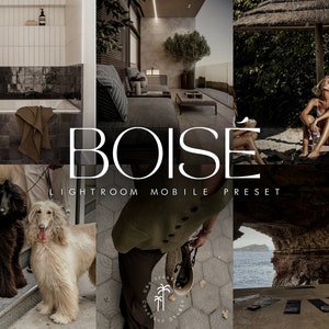 Puede incluir: Un collage de imágenes que muestran un preset de Lightroom Mobile llamado "Boise". El preset crea un tono cálido y terroso con un toque vintage. Las imágenes incluyen un baño con una bañera, un patio con muebles, una mujer sentada en una silla de playa, dos perros en una escalera, una persona caminando por un camino de piedra y una abertura de cueva con vista al mar.