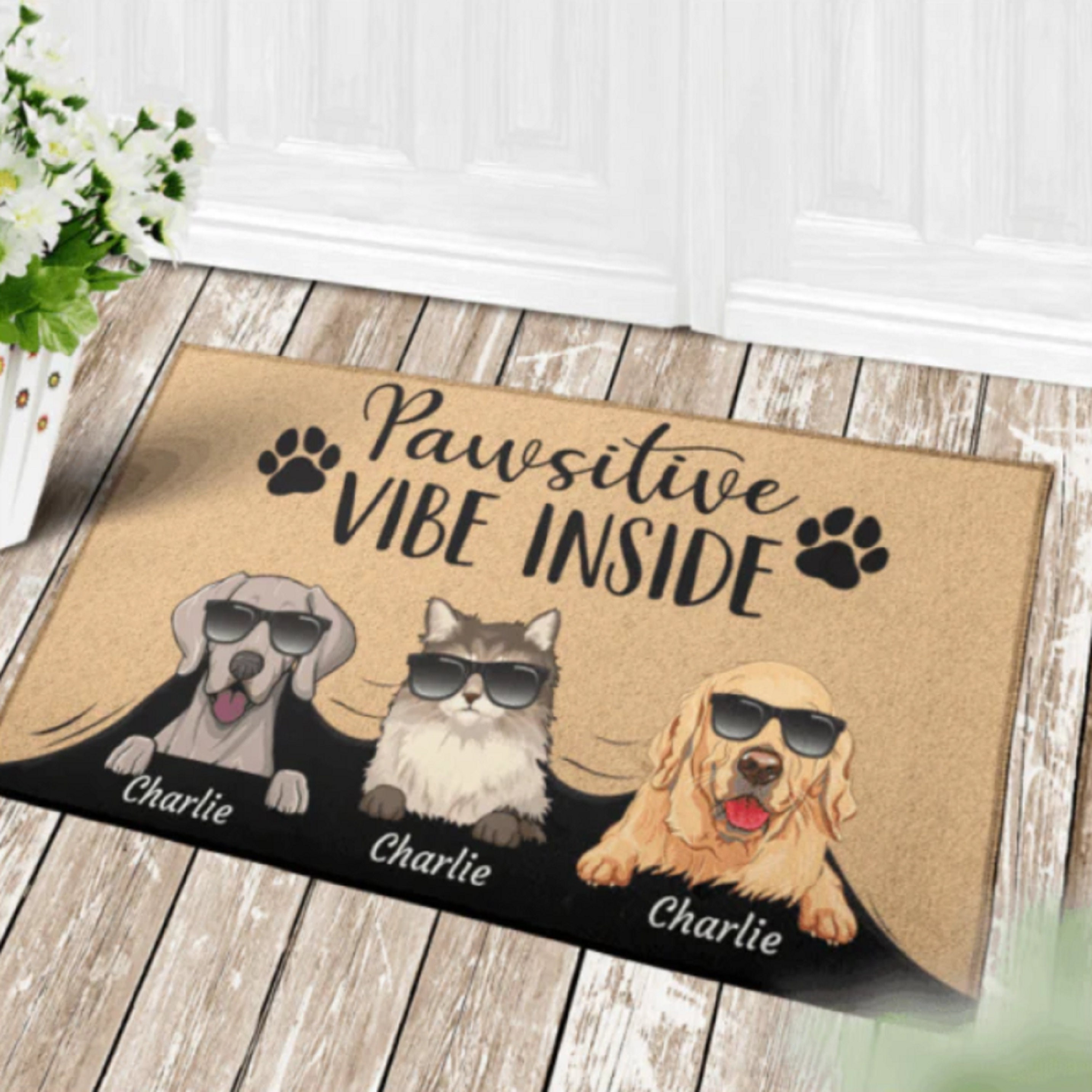 Funny Pet Doormat: Pawsitive Vibes Only – Home With Ink