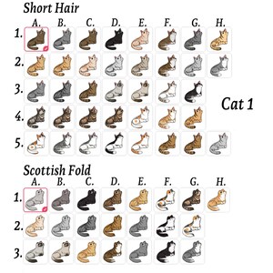 Puede incluir: Un gr&aacute;fico con im&aacute;genes de gatos de pelo corto y gatos Scottish Fold. El gr&aacute;fico est&aacute; etiquetado como "Pelo corto" y "Scottish Fold". Los gatos son de diferentes colores y patrones.