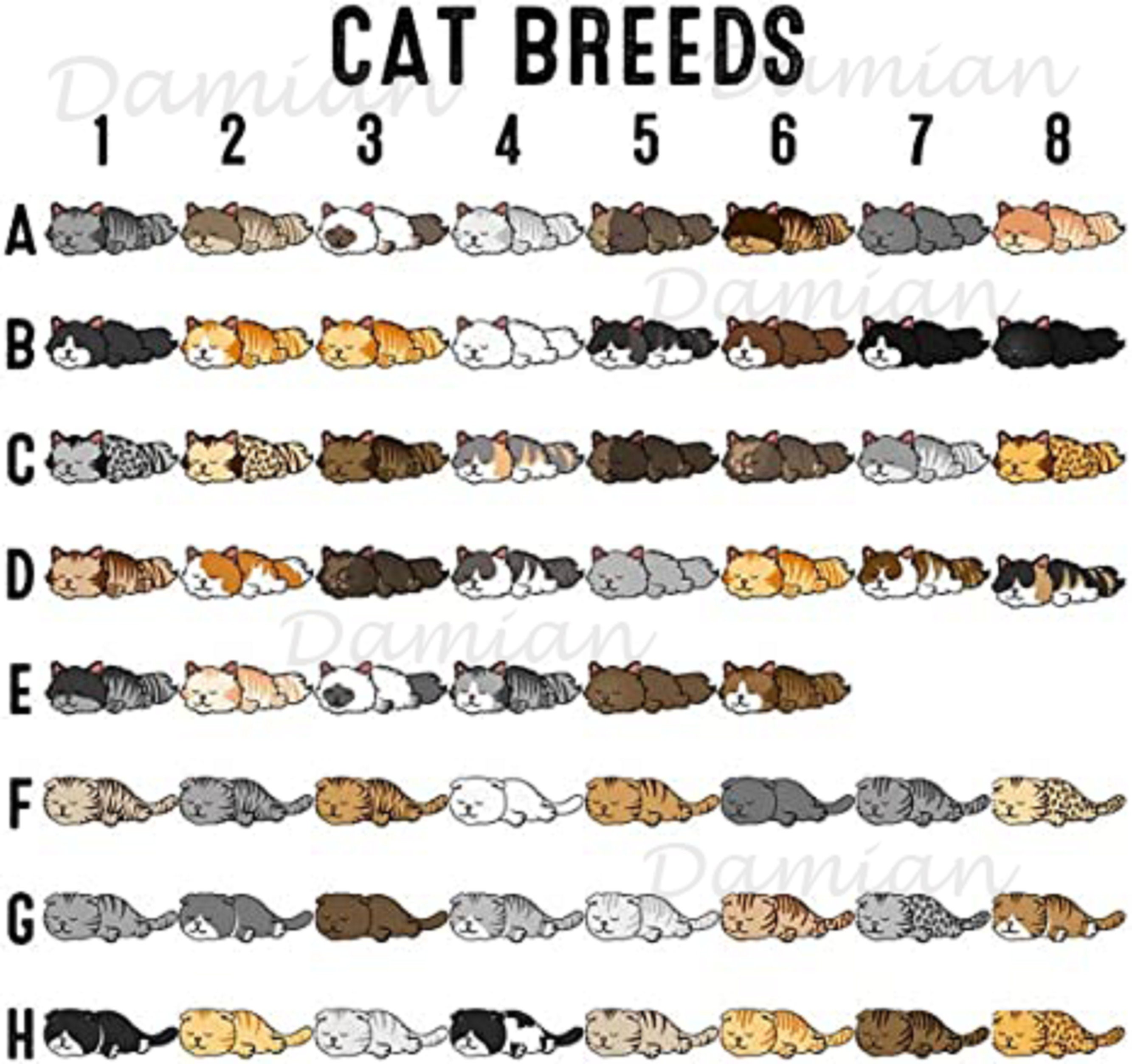 Custom Dog and Cat Sleep Shirt Official Pet Sleep Shirt Etsy