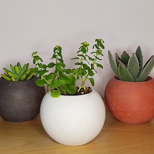 Sphere Cement Planter