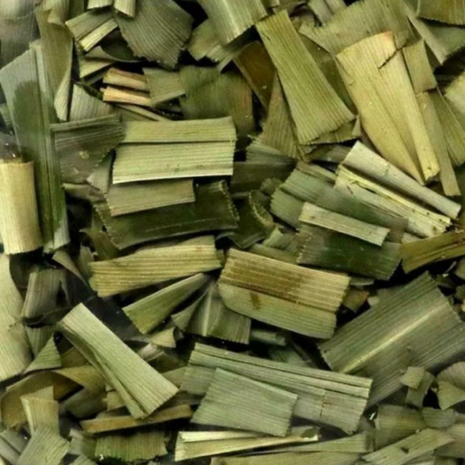 Fresh 100 High Quality Dried Pandan Leaves Organic Herbs Etsy