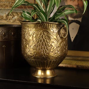 May include: A gold-coloured, ornate planter with a detailed floral and grape design. The planter has a pedestal base and two ring handles. A dark brown planter is to the left. Green and white striped plant leaves are visible.