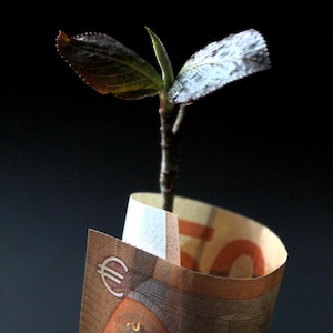 Tip Jar