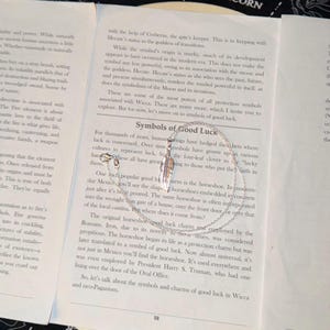 May include: A silver feather pendant necklace lies on an open book discussing symbols of good luck. The book's pages feature text about horseshoes and four-leaf clovers. The necklace is a delicate piece of jewellery.