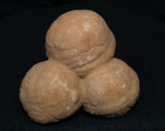 Spherical Concretion Specimen