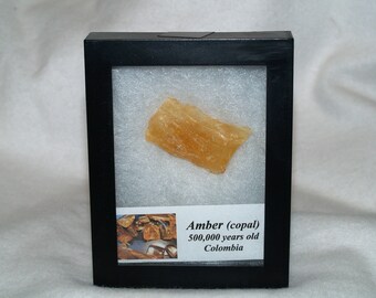 Copal (500,000 yrs. old)