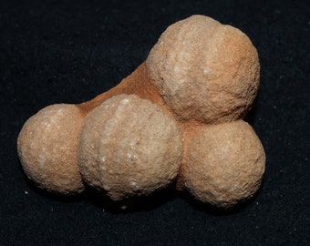 Spherical Concretion Specimen