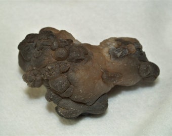 Chalcedony Replacing Fossil Sponge