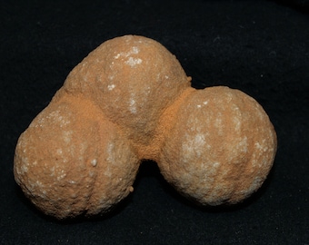 Spherical Concretion Specimen
