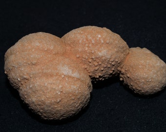 Spherical Concretion Specimen