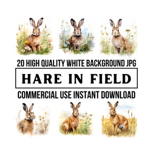 Hare in a Field Clip Art - 20 High Quality Watercolor JPG Commercial Rights - Journaling, Crafting, Card Making, Print on Demand, Wall Art