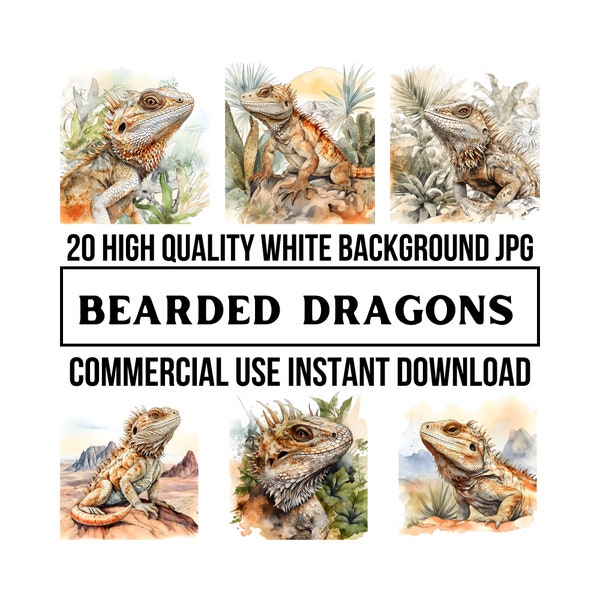 20 Bearded Dragon Clipart High Quality 4096x4096 px JPG  Donkey Watercolor pen & Ink, Crafting, Card Making, Commercial Use Digital Download