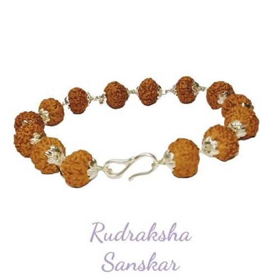 8 Face (Mukhi) Rudraksha Beads Bracelet : Healing Bracelet, 8 Face (Mukhi)  Rudraksha Beads Bracelet |Rudraksha Beads, Sandalwood Beads Wholesale Store  : Gemstone Beads, Prayer Mala Beads & Mala Supplies