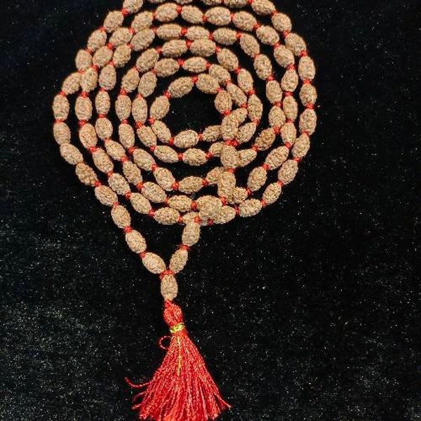 2 Mukhi Rudraksha Mala, 108+1 echte Rudraksha kralen, lange kwast Mala, mooie Mala, natuurlijke kralen, Rudraksh Mala, Japa gebedskralen