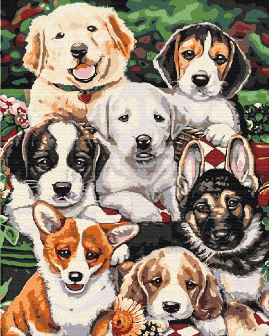 Dogs Paint by Number Kit DIY Painting On Canvas Home | Etsy