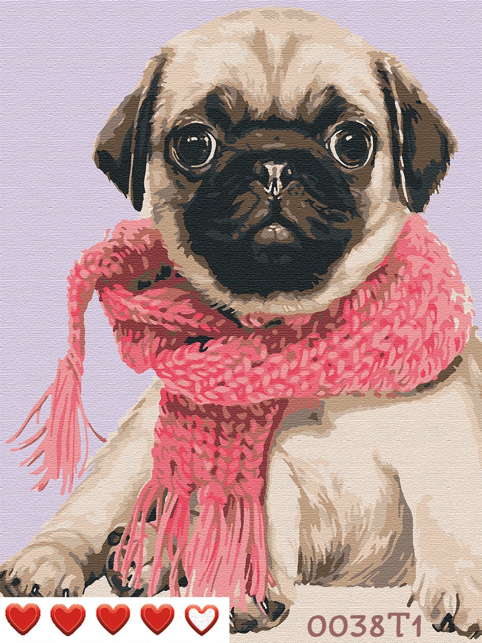 Cute Pug in a Scarf Paint by Number Kit Paint by Number Kit Etsy