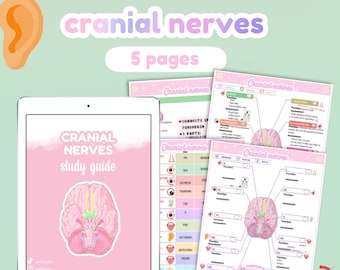 Guia de estudo de nervos cranianos + planilha | 5 páginas | funções | avaliação