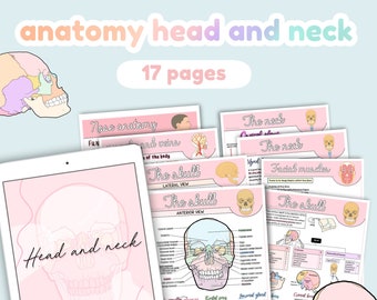 Notas de anatomia da cabeça e pescoço, crânio, músculos do pescoço, músculos faciais, músculos faciais, crânio fetal