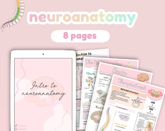 The nervous system, neuroanatomy, intro to neuroanatomy, introduction to neuroanatomy | study guide, anatomy notes