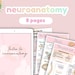 see more listings in the Neuroanatomy section