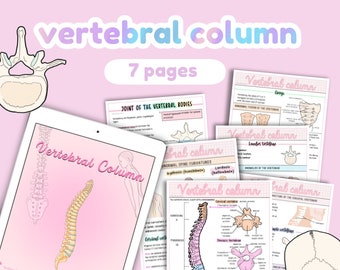 Notas sobre anatomia da coluna vertebral