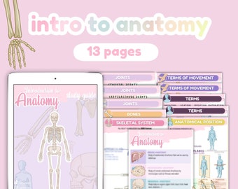 ATUALIZAÇÃO Introdução à anatomia, introdução à anatomia, notas de anatomia, guias de estudo