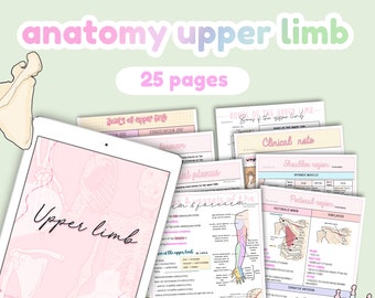 Anatomy upper limb, anatomy notes, upper extremity, study guides, study note | Anatomy and physiology notes Bundle