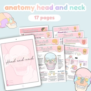 Notas de anatomía cabeza y cuello, cráneo, músculos del cuello, músculos de la cara, músculos faciales, cráneo fetal.