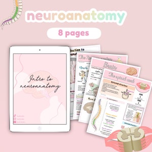 El sistema nervioso, neuroanatomía, introducción a la neuroanatomía, introducción a la neuroanatomía/guía de estudio, notas de anatomía
