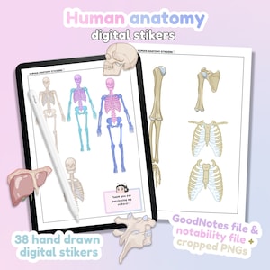 Human anatomy digital stickers | GoodNotes stickers | notability stickers | PNG File Download | Note-Taking, Planning, Study / ipad stickers