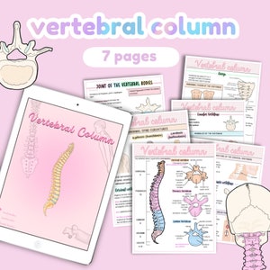 Vertebral Column Anatomy notes