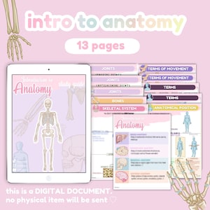 UPDATE Intro to anatomy, introduction to anatomy, Anatomy notes, study guides